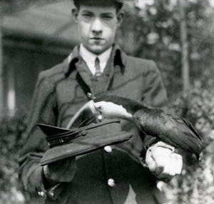 A Red-billed Toucan draws a ticket from a hat, held by keeper C. Hersey, London Zoo, 1923